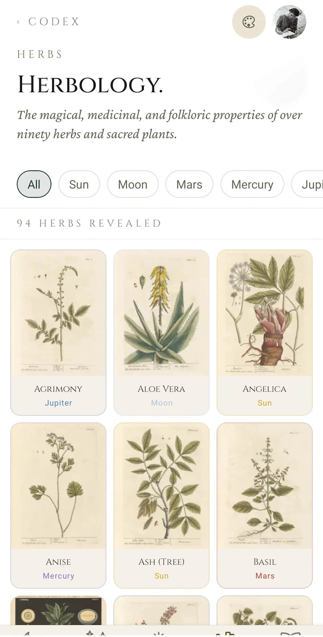 Magical herbology database: botanical properties and ritual correspondences for witches
