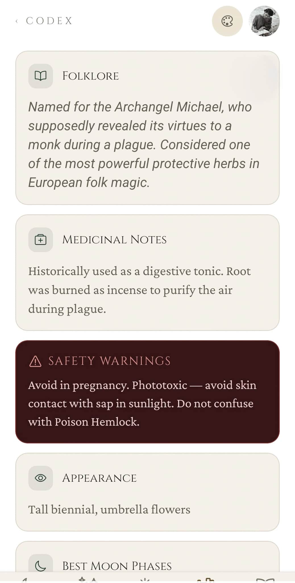 Herbology: Angelica continued with Folklore prose, Medicinal Notes, a Safety Warnings panel (avoid in pregnancy, phototoxic, do not confuse with Poison Hemlock), and Appearance / Best Moon Phases sections