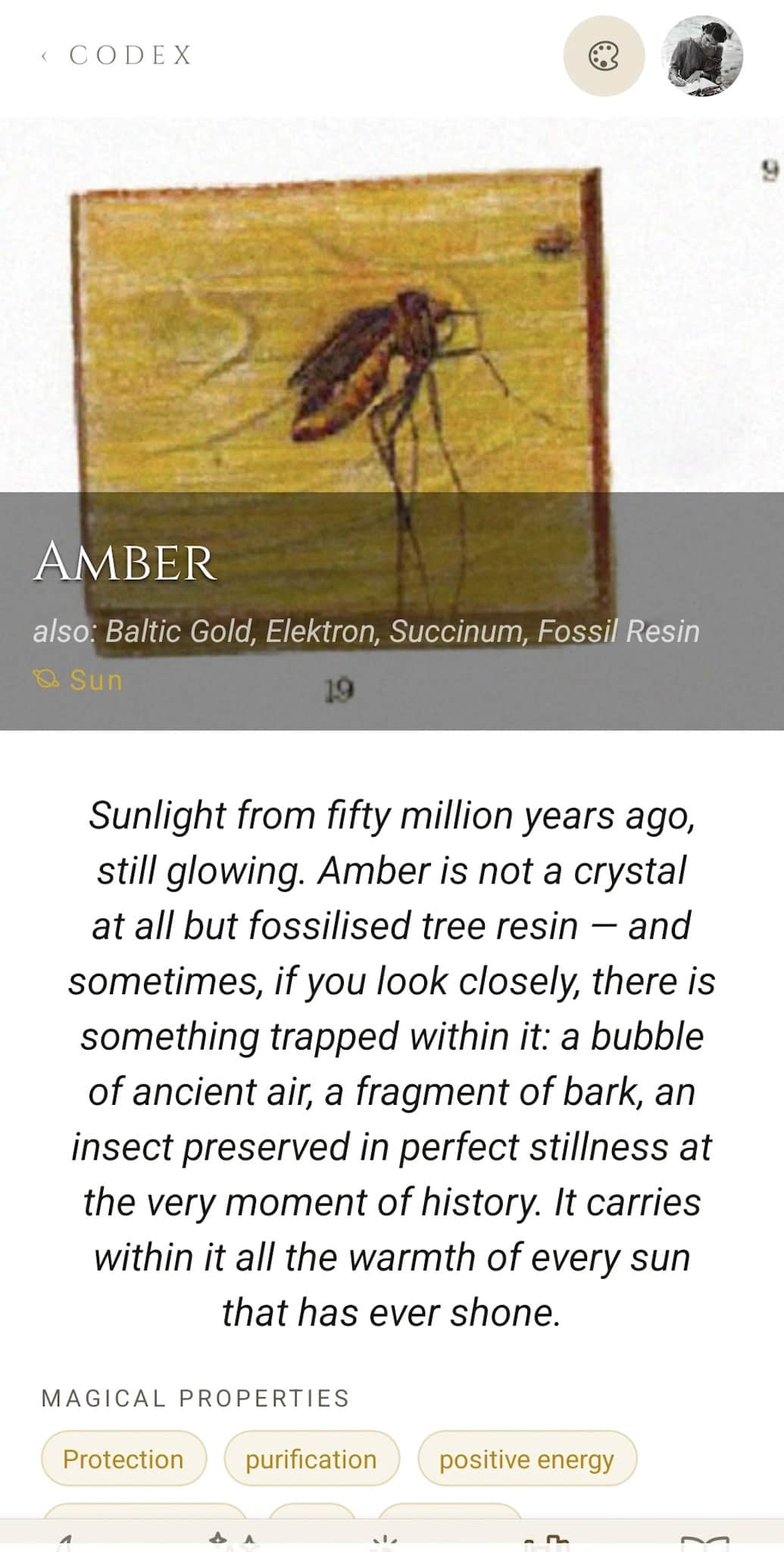 Crystal Vault detail: Amber profile with alternate names (Baltic Gold, Elektron, Succinum, Fossil Resin), prose description, and Magical Properties chips (Protection, purification, positive energy)