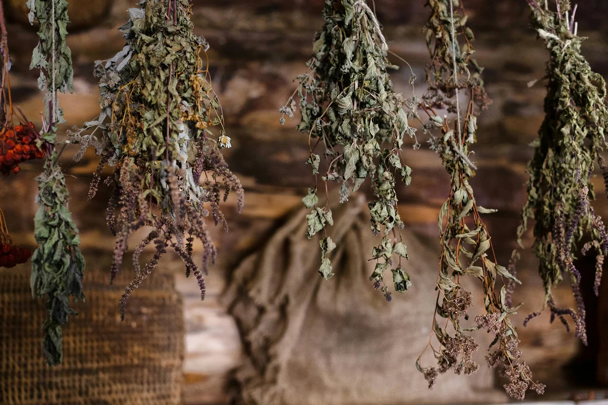 Bundles of dried herbs and wildflowers hanging upside down to dry against a rustic stone wall, including varieties of sage, lavender, chamomile, and berry-laden branches, with hessian sacking in the background