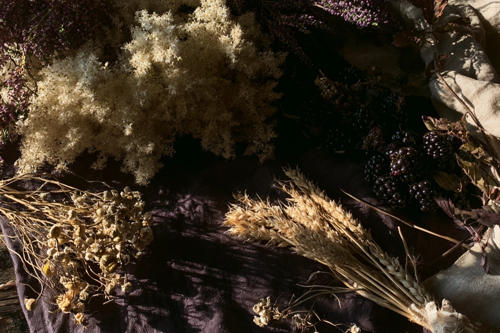 A flat lay of fresh meadowsweet flowers with their creamy white froth, sprigs of purple heather, a handful of ripe blackberries, dried chamomile flowers, a small sheaf of wheat stalks, and a golden beeswax candle on dark linen in warm August light