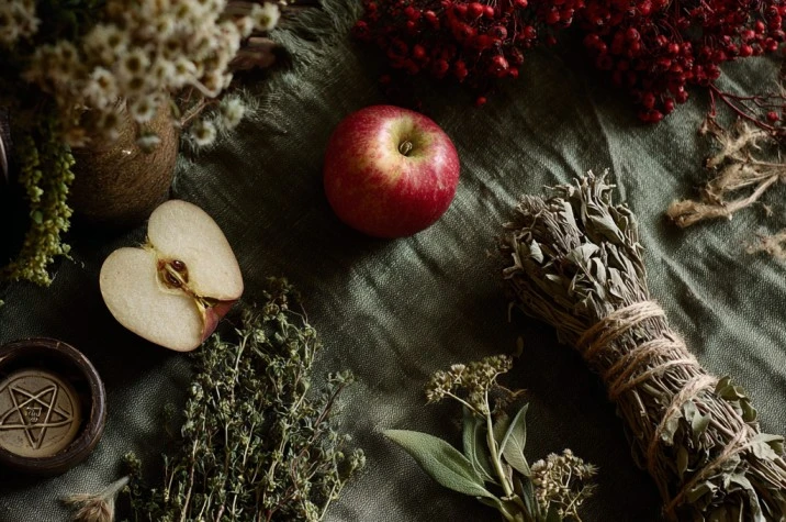 A flat lay of autumn botanicals on dark linen: a cut apple showing its seed pentagram, sprigs of hawthorn bearing red berries, fresh sage leaves, dried yarrow flowers, and a mugwort bundle, with a beeswax candle in warm golden light
